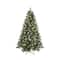7.5ft. Pre-Lit Weston Fir Artificial Christmas Tree, Color Changing LED Lights by Ashland®